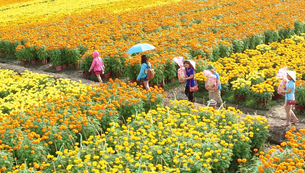 Du khách trải nghiệm làng hoa Sa Đéc. (Ảnh: CTV/Vietnam+)