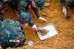 Cán bộ, chiến sĩ Đội K71, Bộ Chỉ huy Quân sự tỉnh Tây Ninh tiến hành đào tìm, quy tập hài cốt liệt sỹ tại khu vực được xác định có thông tin về mộ liệt sỹ. (Ảnh: Minh Phú - TTXVN)