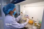 Kiểm nghiệm viên Trung tâm An toàn thực phẩm khu vực miền Trung (Viện Pasteur Nha Trang) kiểm tra mẫu thực phẩm. (Ảnh: Xuân Triệu/TTXVN)