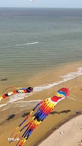 Festival diều trên biển Sầm Sơn thu hút sự quan tâm của du khách. (Ảnh: TTXVN phát)