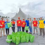 Thu gom và phân loại rác, bảo vệ môi trường. (Ảnh: TTXVN)