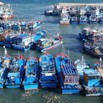 Truy xuất nguồn gốc thủy sản khai thác. (Ảnh minh họa. Nguồn: Vietnam+)