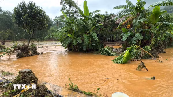 Lâm Đồng: Một phụ nữ mất tích do lũ cuốn khi đi thăm vườn sầu riêng