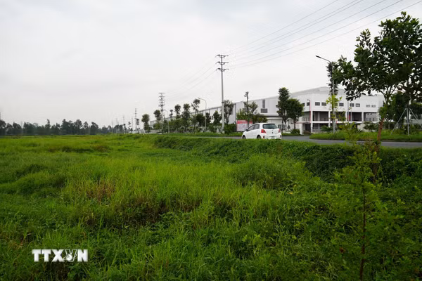 Hưng Yên: Làm sạch, kết nối liên thông dữ liệu y tế, đất đai, an sinh xã hội