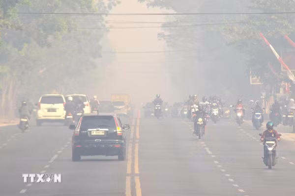 Tổng thống Indonesia chỉ thị cảnh sát điều tra các công ty liên quan cháy rừng