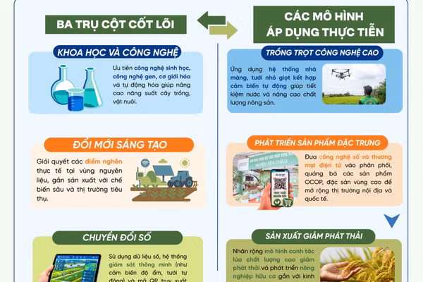 Nghị quyết 57-NQ/TW đột phá chuyển đổi: Công nghệ tái cấu trúc nông nghiệp