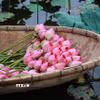 Sen vừa được hái lên khỏi hồ, sẽ được đem về thực hiện ngay các công đoạn ướp để hương của sen được đảm bảo tốt nhất. (Ảnh: Khánh Hoà/TTXVN)