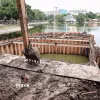 Dự án cống ngầm chống ngập tại Công viên Thống Nhất hiện bước vào giai đoạn hoàn thiện cuối cùng, dự kiến tháo dỡ rào chắn và hoàn thành thi công vào ngày 25/5. (Ảnh: Phạm Tuấn Anh/TTXVN)