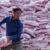 Gạo là một trong những sản phẩm xuất khẩu chủ lực của tỉnh An Giang. (Ảnh: Văn Sĩ/TTXVN)