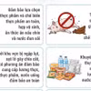 Cách phòng chống các loại dịch bệnh trong mùa mưa lũ