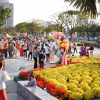 Dự án sẽ triển khai 23 điểm trang trí hoa và 9 vị trí trang trí điện chiếu sáng nhằm tạo diện mạo đô thị khang trang, rực rỡ, phục vụ người dân và du khách trong dịp Tết Nguyên đán (Ảnh: Báo Văn hóa)