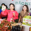 Quảng bá trực tuyến sản phẩm vải thiều và các nông sản chủ lực, đặc trưng OCOP của tỉnh Bắc Ninh. (Ảnh: Đồng Thúy/TTXVN)