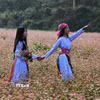 Nét hồn nhiên của hai thiếu nữ Mông khi dạo bước trên cánh đồng Tam giác mạch ở Đồng Văn. (Ảnh: Minh Tâm/TTXVN)