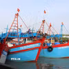 Đội tàu có công suất lớn đủ sức vươn ra khai thác các ngư trường xa như Côn Đảo, Trường Sa, DK1 đạt tỷ lệ 60%. (Ảnh: Hữu Chí/TTXVN)
