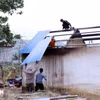 Hỗ trợ xóa nhà tạm, nhà dột nát đối với con đẻ của người hoạt động kháng chiến bị nhiễm chất độc hóa học. (Ảnh minh họa: Quang Cường/TTXVN)