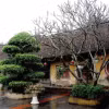 Chùa Thái Lạc, Hưng Yên. (Ảnh: Vietnam+)