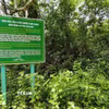 Một khu vực rừng thuộc Khu bảo tồn thiên nhiên Nam Nung (xã Nam Đà, tỉnh Lâm Đồng). (Ảnh: Nguyễn Huy Thành/TTXVN)