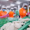 Chế biến thủy sản xuất khẩu. (Ảnh: Danh Lam/TTXVN)
