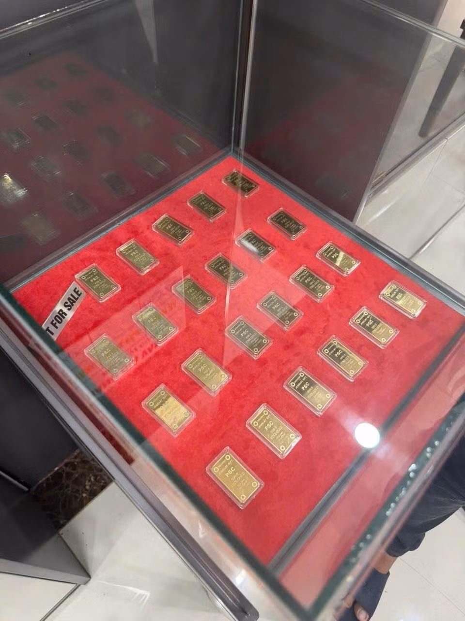 1000016710.jpg