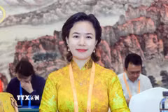 Giáo sư-Tiến sỹ Phan Thị Trà My, Chủ tịch Hội doanh nghiệp Việt Nam tại Trung Quốc. (Ảnh: TTXVN phát)