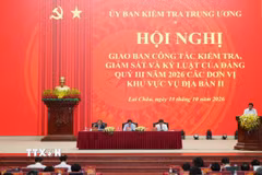 Quang cảnh hội nghị. (Ảnh: Nguyễn Oanh/TTXVN)