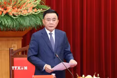Đồng chí Trần Cẩm Tú, Ủy viên Bộ Chính trị, Thường trực Ban Bí thư, phát biểu tại buổi tiếp. (Ảnh: Phương Hoa/TTXVN)