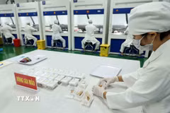 Mẫu sinh phẩm hài cốt liệt sỹ được đóng gói nghiêm ngặt, theo trình tự quy chuẩn quốc gia. (Ảnh: An Đăng/TTXVN)