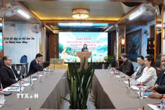 Các đại biểu dự khai mạc Hội trại sáng tác Âm nhạc Festival hoa Đà Lạt Lâm Đồng lần thứ nhất. (Ảnh: Nguyễn Dũng/TTXVN)