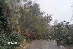  Thêm thẻ Chú thích Sạt lở taluy dương trên tuyến đường từ trung tâm xã Tả Van đến các thôn Séo Mý Tỷ, Dền Thàng (thị xã Sa Pa, Lào Cai). (Ảnh: TTXVN phát)