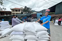 Cấp phát gạo hỗ trợ nhân dân cứu đói giáp hạt ở xã Thông Nông. (Ảnh: Chu Hiệu/TTXVN)