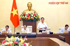 Phó Chủ tịch Quốc hội Nguyễn Khắc Định phát biểu. (Ảnh: Doãn Tấn/TTXVN)