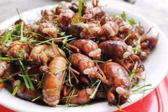 Ve sầu chiên.