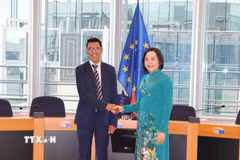 Phó Chủ tịch Quốc hội Nguyễn Thị Thanh và Phó Chủ tịch Nghị viện châu Âu (EP), Younous Omarjee. (Ảnh: Hương Giang/TTXVN)