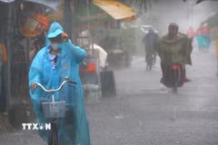 (Ảnh: Duy Khương/TTXVN)
