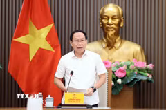 Phó Thủ tướng Lê Tiến Châu phát biểu chỉ đạo. (Ảnh: An Đăng/TTXVN)