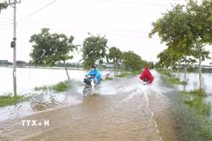 Nhiều đoạn đường dân sinh trên địa bàn các xã Diễn Châu, Đức Châu, An Châu (Nghệ An) bị ngập do mưa lớn. (Ảnh: Xuân Tiến/TTXVN)