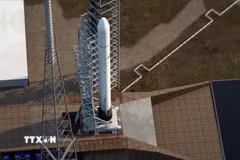Tên lửa đẩy New Glenn của Tập đoàn Blue Origin (Mỹ). (Ảnh: Blue Origin/TTXVN)