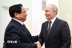 Thủ tướng Phạm Minh Chính hội kiến Tổng thống Nga Vladimir Putin. (Ảnh: Dương Giang/TTXVN)
