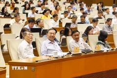 Tổng Bí thư, Chủ tịch nước Tô Lâm và các đồng chí lãnh đạo Đảng, Nhà nước, đại biểu Quốc hội dự phiên họp. (Ảnh: Doãn Tấn/TTXVN)