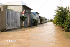 Nhiều hộ dân tại phường Hàm Liêm (Lâm Đồng) bị ngập sâu trong nước lũ. (Ảnh: Nguyễn Thanh/TTXVN)