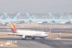 Máy bay của hãng hàng không Korean Air và Asiana Airlines tại sân bay quốc tế Incheon. (Ảnh: Yonhap/TTXVN)