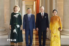 Tổng Bí thư, Chủ tịch nước Tô Lâm và Phu nhân Ngô Phương Ly hội kiến Nhà Vua Bỉ Philippe và Hoàng hậu Mathilde. (Ảnh: Thống Nhất/TTXVN)