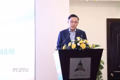 Ông Lê Anh Hoàng, Phó Giám đốc ITPC, phát biểu tại hội thảo. (Ảnh: Xuân Anh/TTXVN)