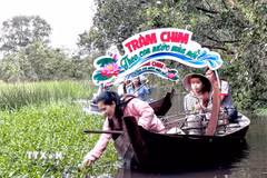 Du khách trải nghiệm hái rau rừng trong Vườn Quốc gia Tràm Chim. (Ảnh: Hồng Nhung/TTXVN)