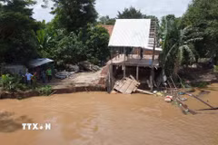 Khu vực sạt lở bờ sông Tiền tại ấp Tân Quới, xã Tân Long (tỉnh Đồng Tháp). (Ảnh: Nhựt An/TTXVN)