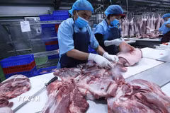 Phân loại sản phẩm thịt lợn. (Ảnh: Vũ Sinh/TTXVN)