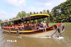 Khách tham quan, trải nghiệm du lịch sinh thái sông nước trên địa bàn tỉnh Vĩnh Long. (Ảnh: Thanh Hòa/TTXVN)