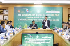 Nếp nhà mới dựng của một gia đình người Mông ở bản Lũng Cẩm chuẩn bị đón Xuân về. (Ảnh : Văn Phát/TTXVN)