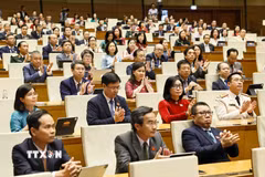 Đại biểu tại Kỳ họp không thường lệ thứ nhất. (Ảnh: Doãn Tấn/TTXVN)