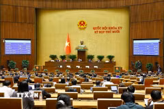 Quốc hội biểu quyết thông qua Nghị quyết phê duyệt chủ trương đầu tư Chương trình mục tiêu quốc gia về nông thôn mới, giảm nghèo bền vững và phát triển kinh tế-xã hội vùng đồng bào dân tộc thiểu số và miền núi giai đoạn 2026-2035. (Ảnh: Doãn Tấn/TTXVN)